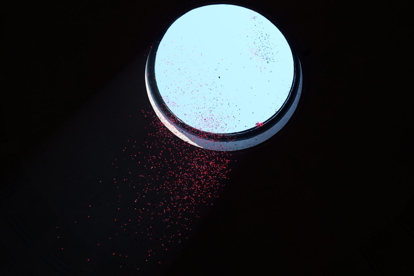 P1033302